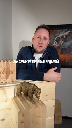 В какой цвет можно покрасить деревянный дом? #стройка #деревянныйдом