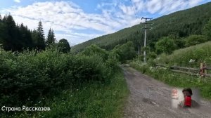 Свекровь пришла поторопить с разводом, чтобы получить