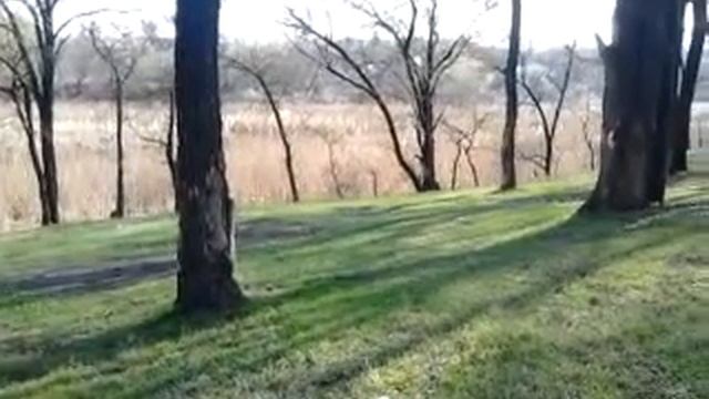 Тихий уголок для пикника. смотреть онлайн