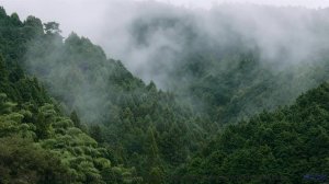 Звуки, используемые для создания параллельных вселенных - фантастика становится реальностью! - Pay-i