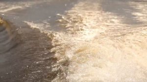 Видеосъемка, свадебный клип, Вера и Саша