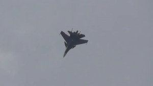Управляемый плоский штопор на Су-30см МА ВМФ. Высший пи?