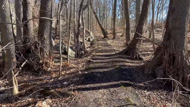 Ради наследства дети вывезли свою мать в лес и привяза смотреть онлайн