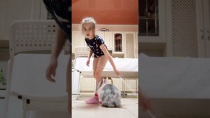 бабл гам 🧋