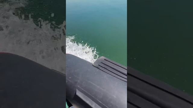 1000017025.mp4