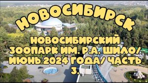 Новосибирский зоопарк имени Р.А. Шило. Июнь 2024 года. Часть 3.