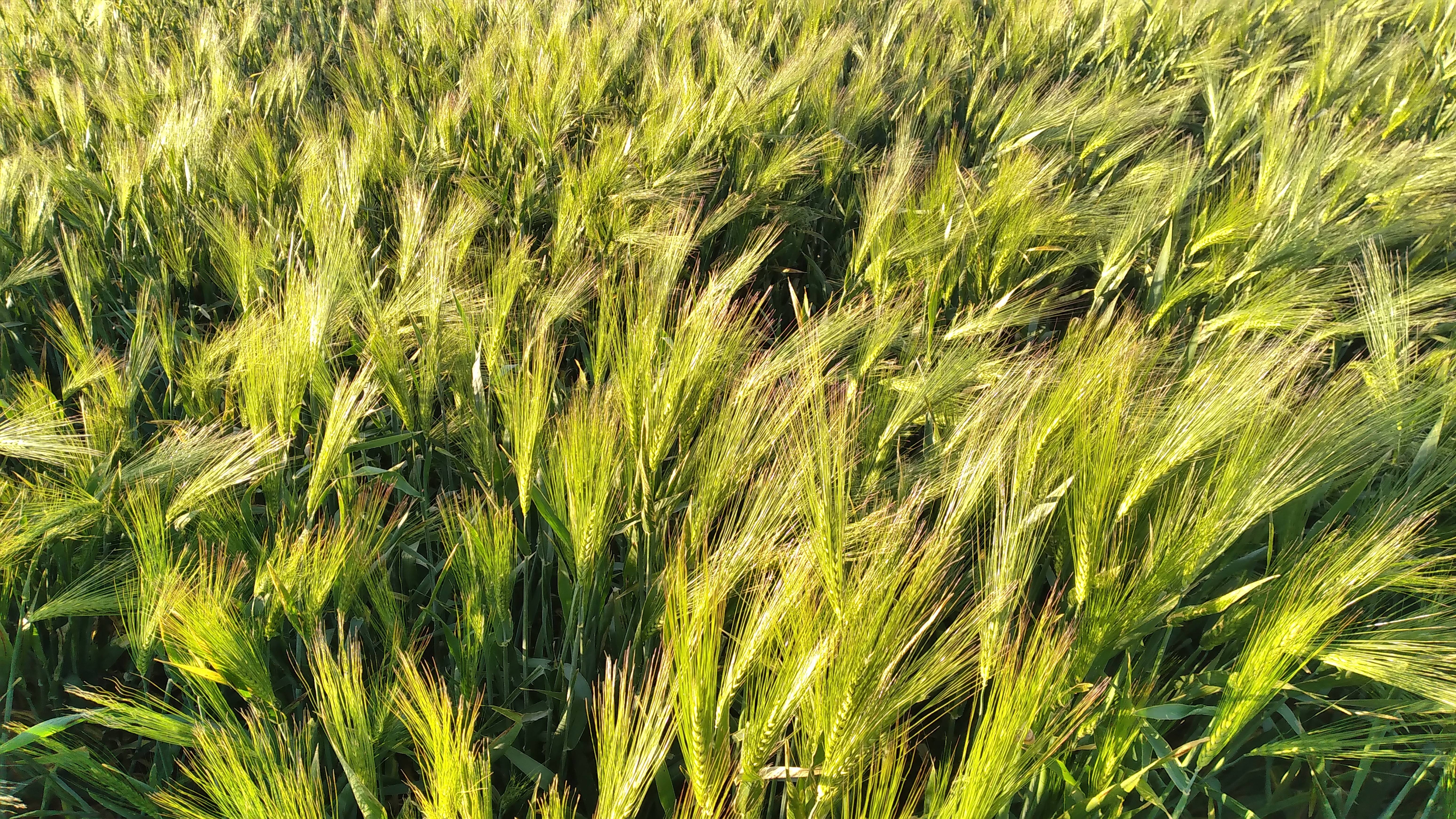 Практикум 2й день''Первые деньги из телеграмм''