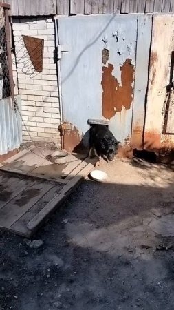 Не аленький цветочек, но всё же!