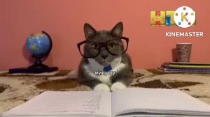 Котинет: 9 ВЫПУСК