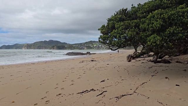 UA in NZ Один рабочий день ИНЖЕНЕРА в Новой Зеландии. Карь