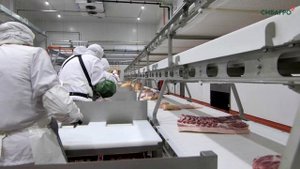 Запуск_технологического_оборудования_цеха_обвалки_СИБАГРО
