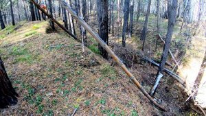 Обзор велосипеда Intense SPIDER PRO 29 2024 года