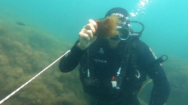 -8317407170864213117