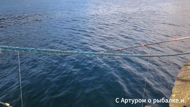 Операция Корабль. Таких размеров я ещё не ловил. Рыбал?