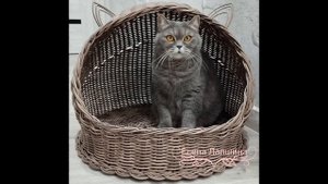 Анонс МК Лежанка для животных из ротанга