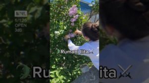 Новая песня Дарите женщинам 💐