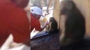 🆂🅷🅾🆁🆃🆂 🅹🅾🅺🅴🆂