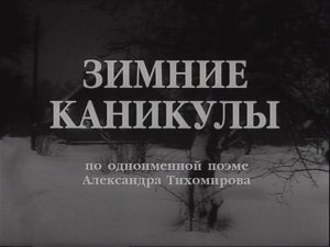 Зимние каникулы