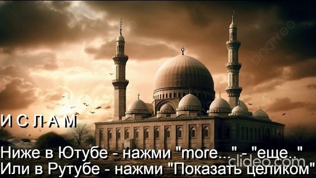 Глава 11 Религии\ Часть 2 Ислам\
 раздел 6) Шариат\ Следующая Тема
 Часть 3 Индуизм\ раздел 1)Бхг.Г