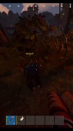 rust  двушка