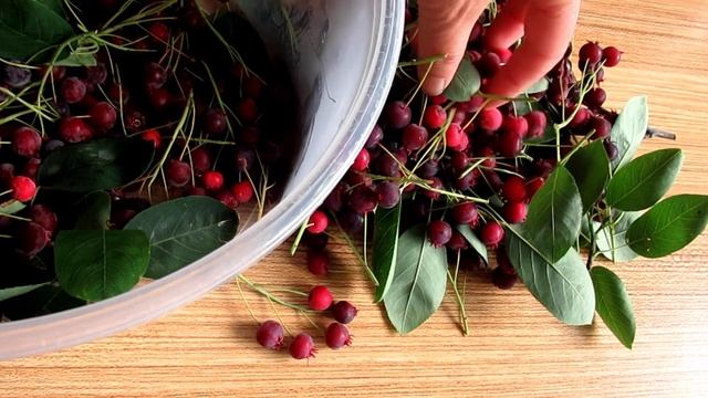 7 НАПИТКОВ ДЛЯ ЗДОРОВЬЯ ОТ ВРАЧЕЙ! Сахар под контролем,