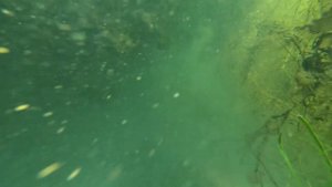 Древний затонувший корабль. Снимаю под водой.