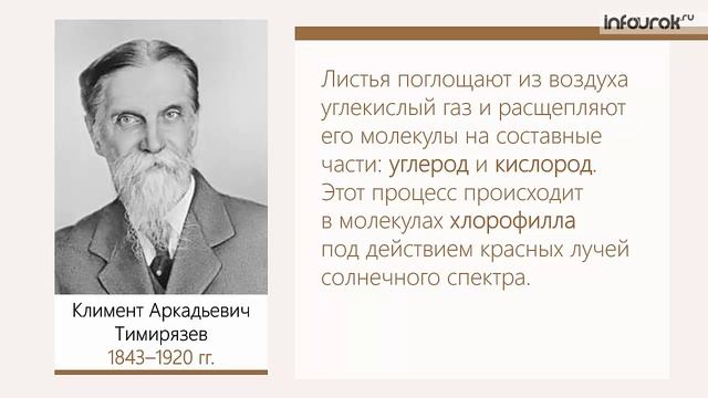 40.  Химическое действие света