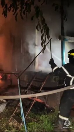 Пожар на Зеленов острове в Саратове