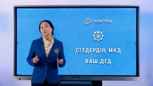 Ваш ДГД. Какие документы проверяет налоговая?