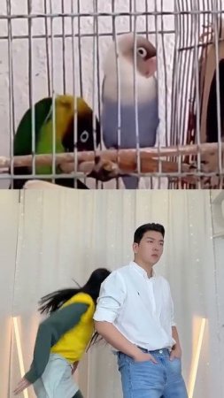 E와I
