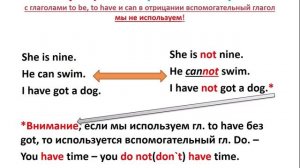 Present simple спряжение отрицание и общий вопрос