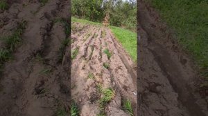 отчет на участке работа