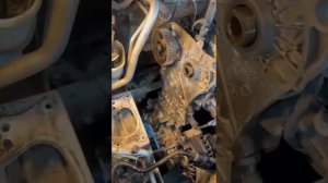 Замена ремня Грм Skoda Rapid 1.6