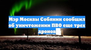 Мэр Москвы Собянин сообщил об уничтожении ПВО еще трех дронов