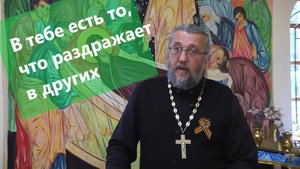 Что раздражает в других, есть в тебе. Священник ИгорьСильченков.