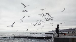 На побывку едет молодой моряк. Поёт Валентина Дробышева.