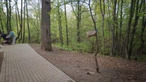 Влог / Прогулка до Ново-Садовой (фоткаем трамваи) и за какими-то гаражами / 22.04.2025