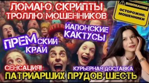 Продлеваем сим карты, получаем письма и не выкупаем лекарства. Мошенники звонят _Нюша _Антимошенники