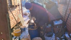 Молодая семья живёт в деревне и обустраивает быт. Дела