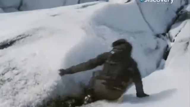 Выжить любой ценой эпизод № 815 смотреть онлайн