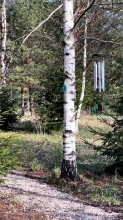 Добро пожаловать в эко-парк «Дух природы»