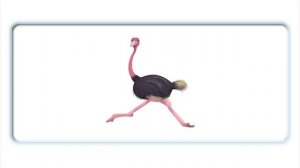 Letter O