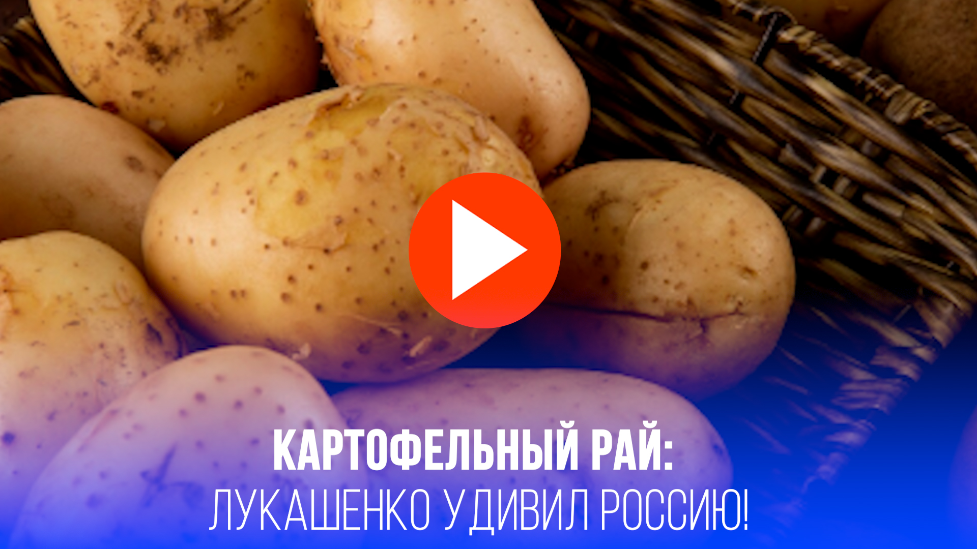 Картофельный Клондайк: Лукашенко раскроет секрет богатого урожая для России