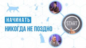 Начинать никогда не поздно