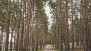 Музыка раскрывает сердце на фоне этих видов - I Can Change Your Life -- Tadz -- Soul Symphonies Vol.