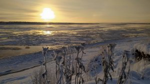 Ода северным вахтовикам / Печора