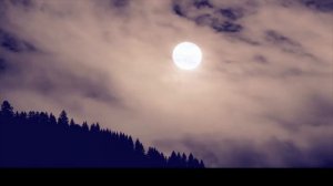 Сравнение Perun vs Podaga — какой тепловизионный прицел выбрать для охоты?