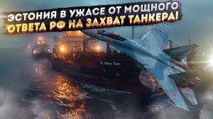 Русский истребитель напугал всех! Армия и правительство Эстонии перекладывают вину!
