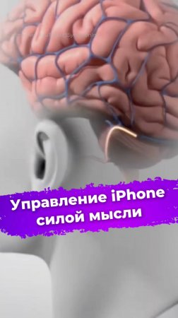 Самая маленькая флешка в мире #флешка #Suneast #typeC #технологии #новости #ixbt