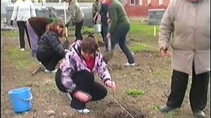 закладка парка п. Поспелихинский 2011г